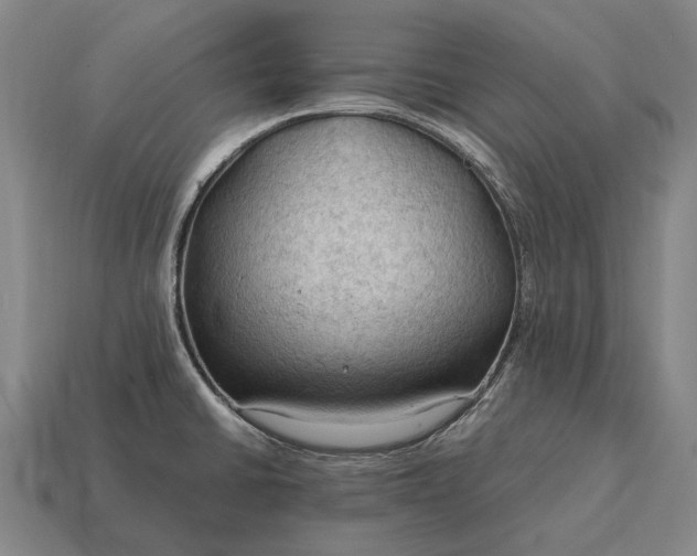 X0000115101430200911101535