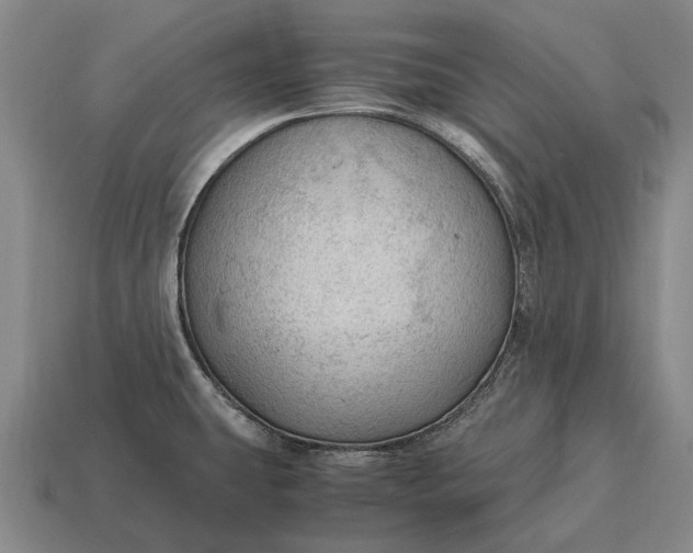X0000115101431200911101536