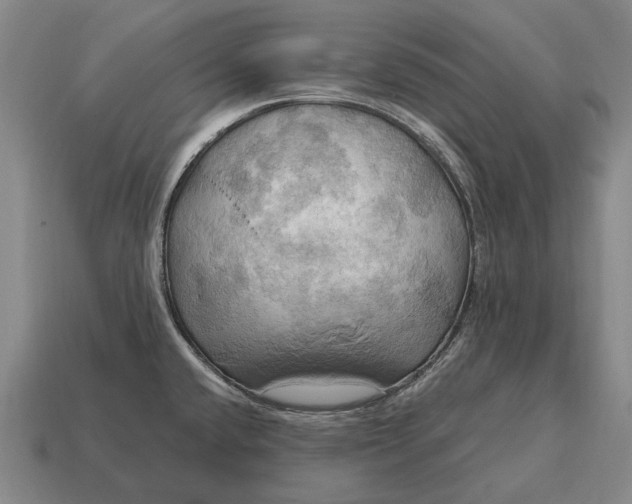 X0000115101432200911101536