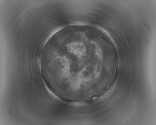 X0000115101433200911101536