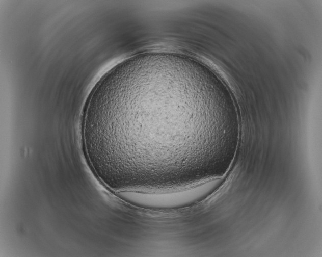 X0000115101434200911101536