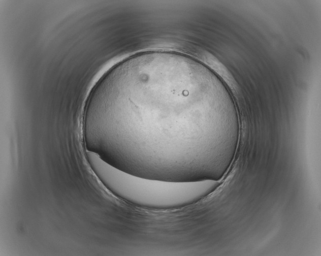 X0000115101436200911101536