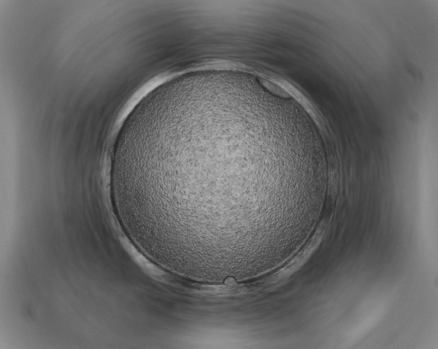 X0000115101438200911101536