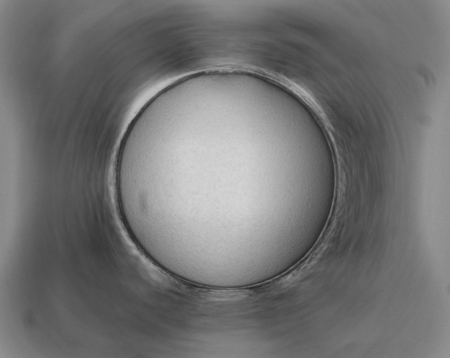 X0000115101440200911101536