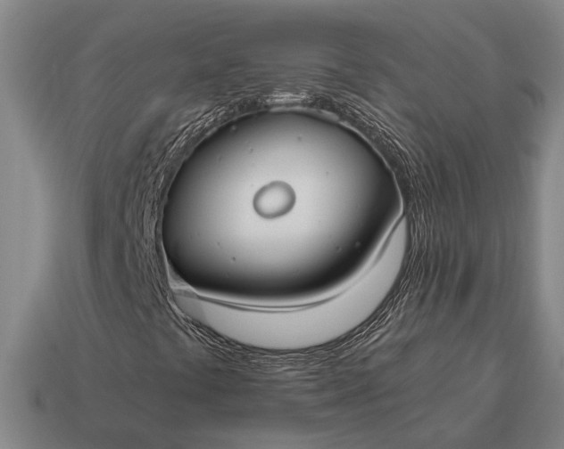 X0000115101441200911101535