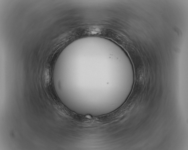 X0000115101442200911101535
