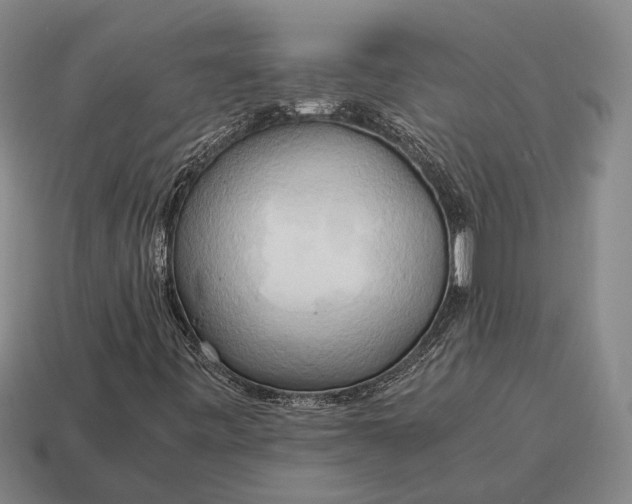 X0000115101443200911101535