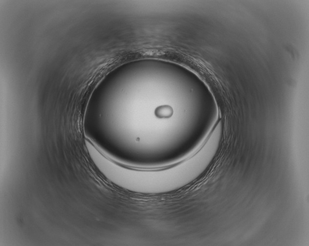 X0000115101444200911101535