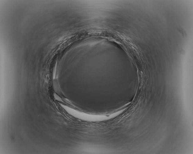 X0000115101445200911101535