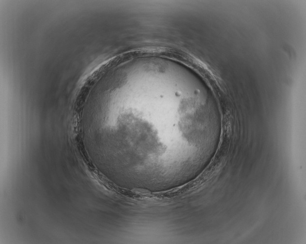 X0000115101448200911101535