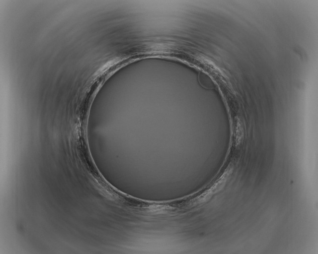 X0000115101449200911101535