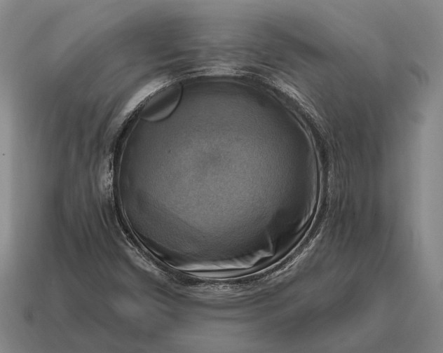 X0000115101450200911101535