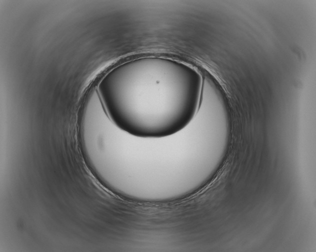 X0000115101452200911101535