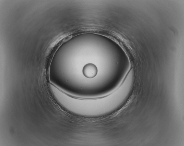 X0000115101453200911101535
