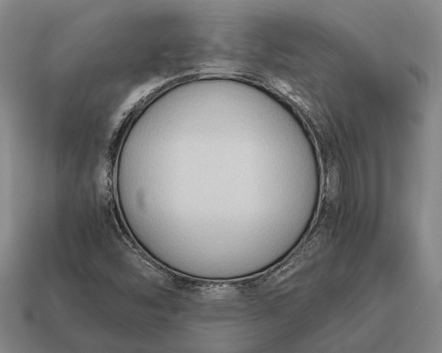 X0000115101454200911101535