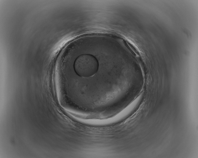 X0000115101455200911101535
