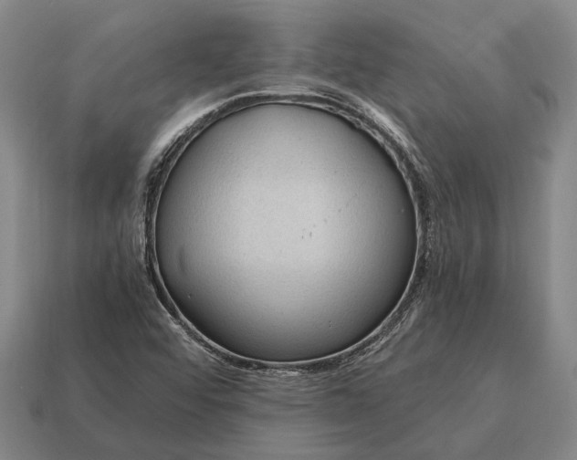 X0000115101456200911101535