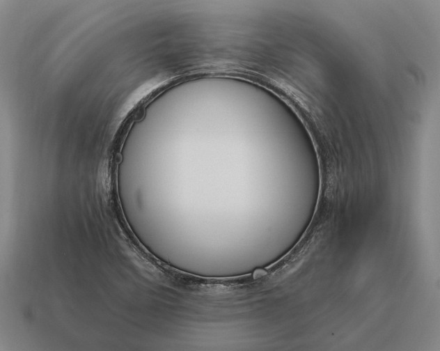 X0000115101458200911101535
