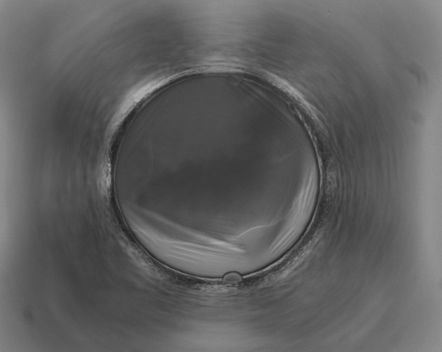 X0000115101461200911101535
