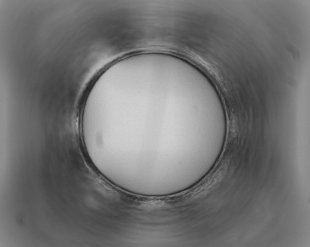 X0000115101462200911101535