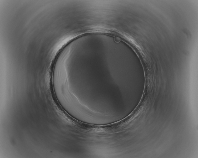 X0000115101463200911101535