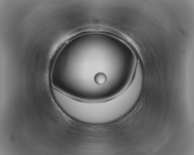 X0000115101464200911101535