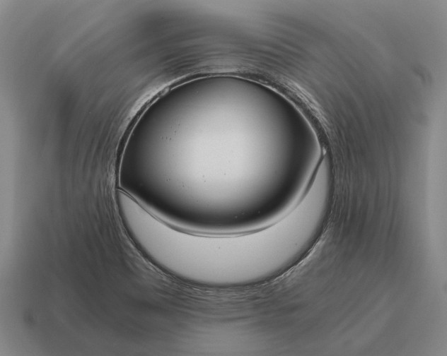 X0000115101465200911101535