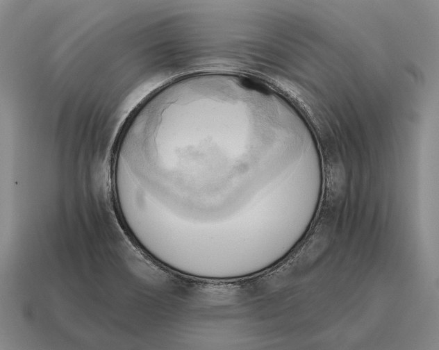 X0000115101466200911101535