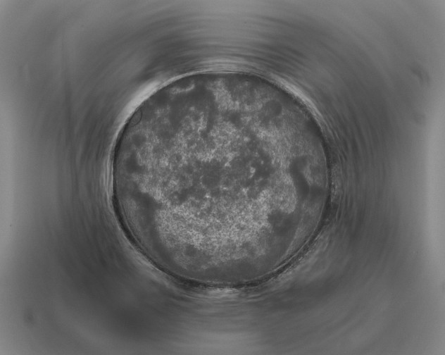 X0000115101467200911101535