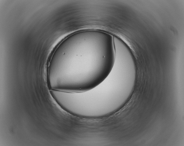 X0000115101468200911101534