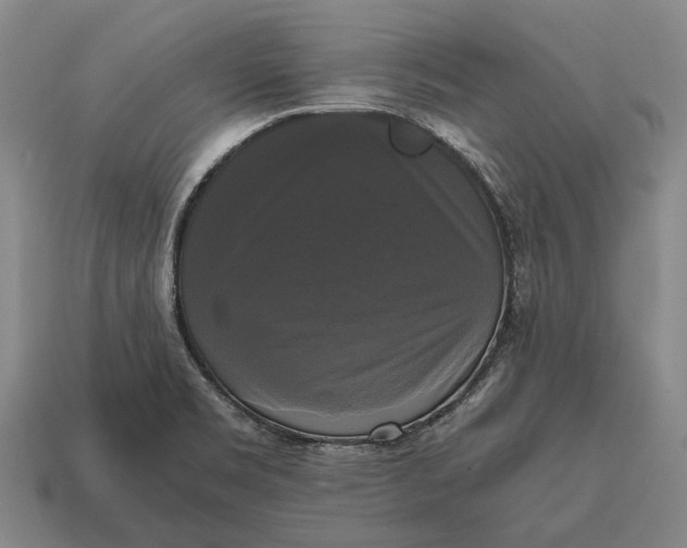 X0000115101469200911101534