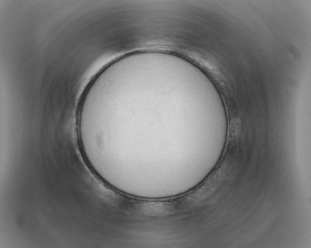 X0000115101470200911101534