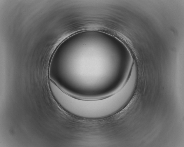 X0000115101473200911101534