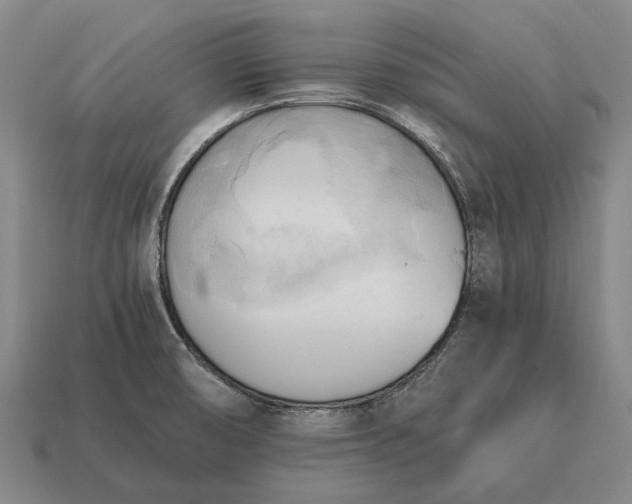 X0000115101474200911101534