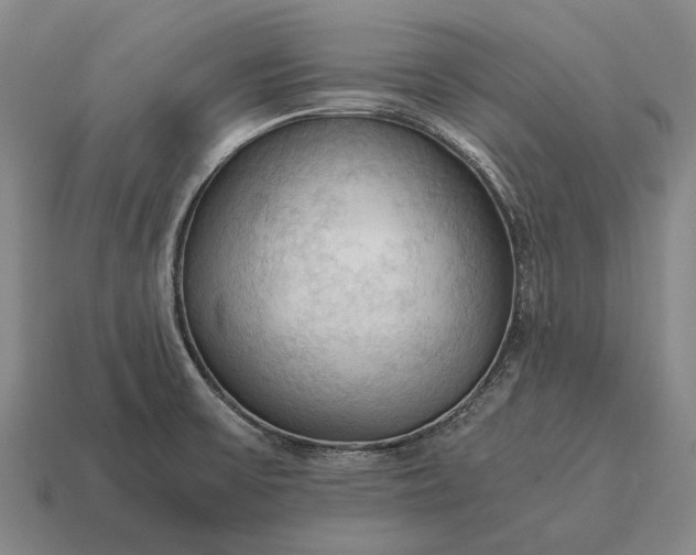 X0000115101475200911101534