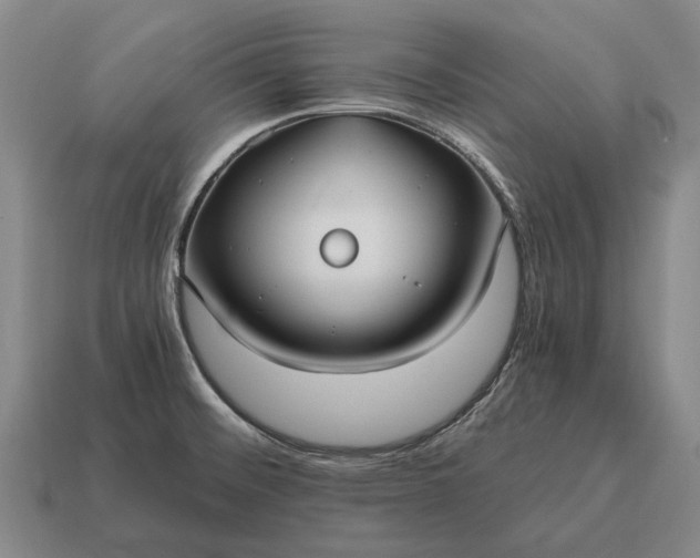 X0000115101476200911101534