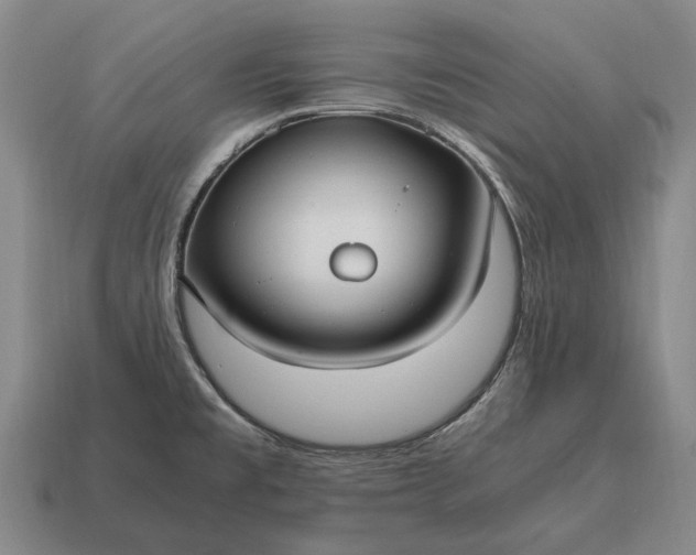 X0000115101477200911101534