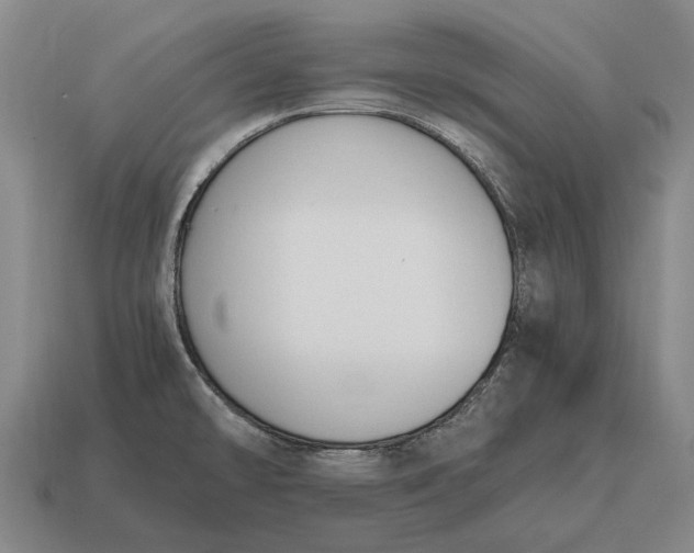 X0000115101478200911101534