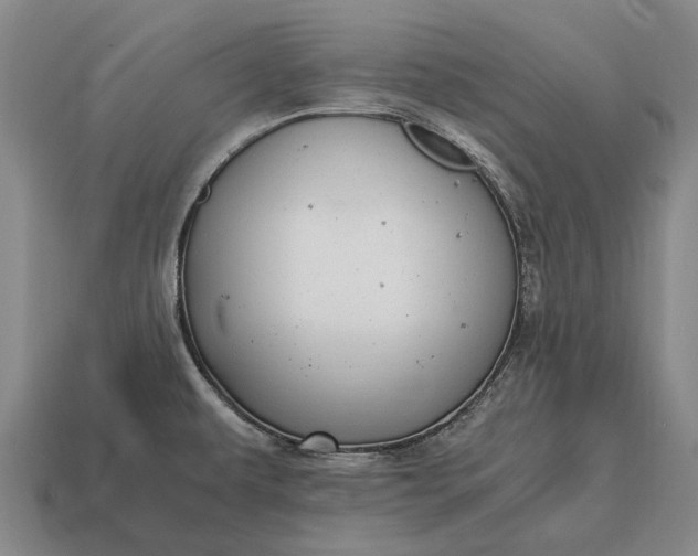 X0000115101479200911101534