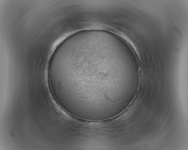 X0000115101480200911101534