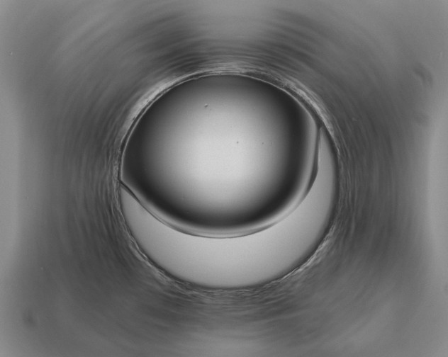 X0000115101481200911101534