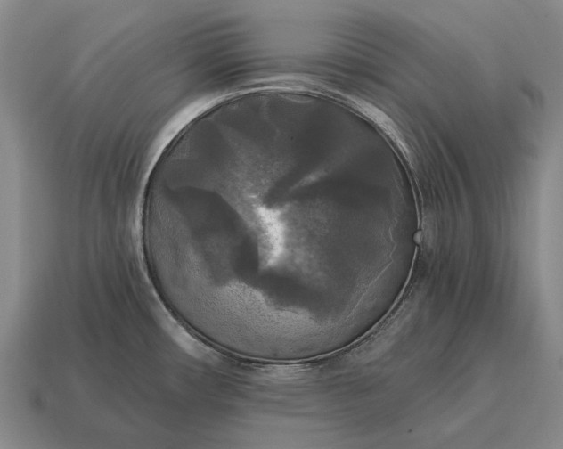 X0000115101482200911101534