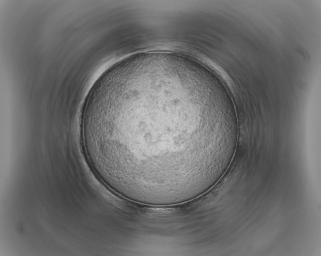 X0000115101483200911101534