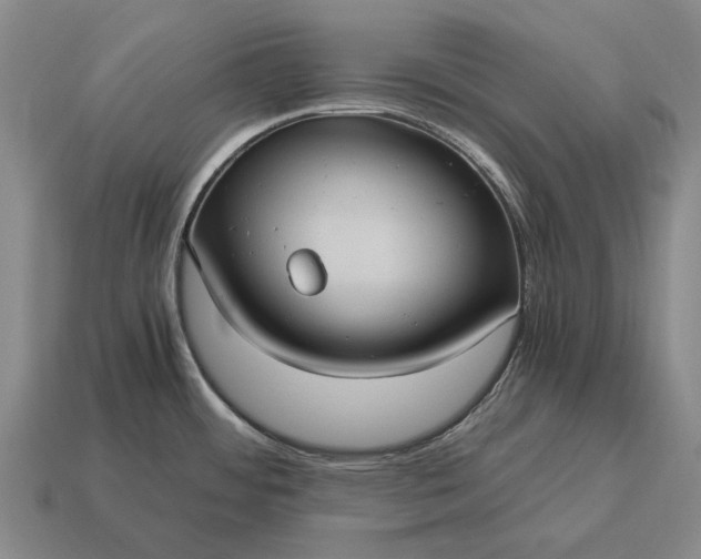 X0000115101484200911101534