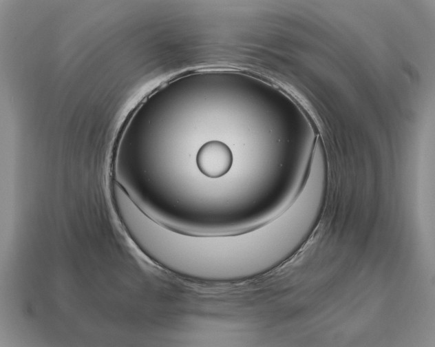 X0000115101485200911101534