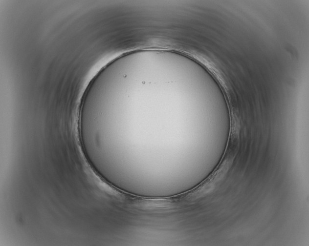 X0000115101486200911101534