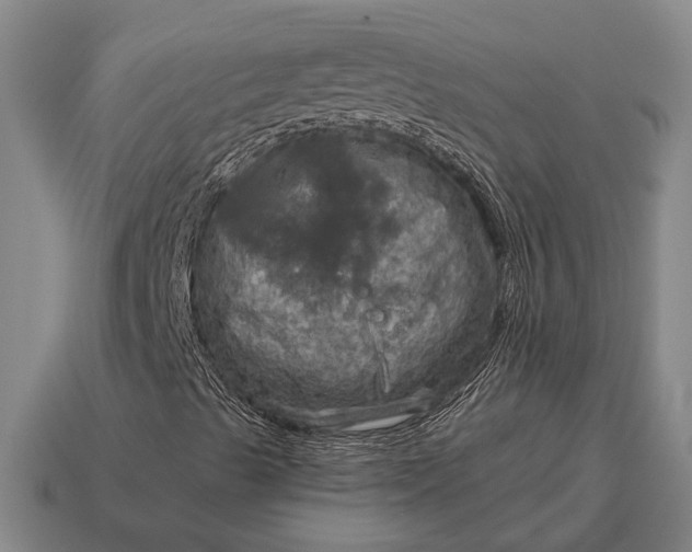X0000115101489200911101533