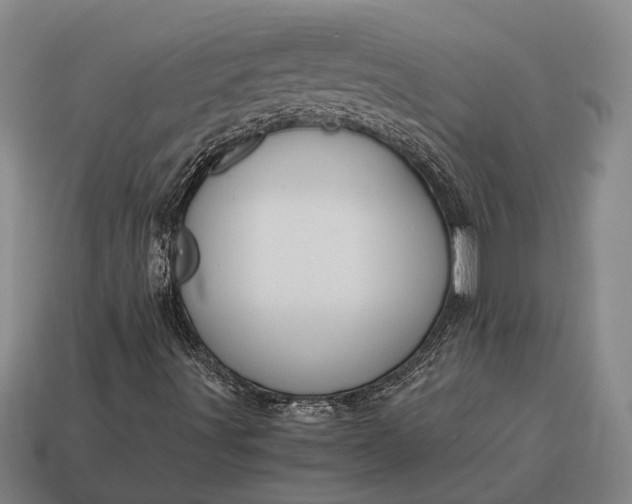 X0000115101491200911101533