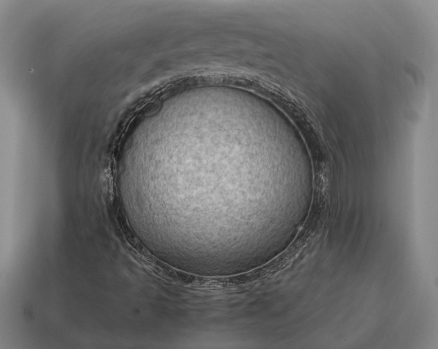 X0000115101493200911101534