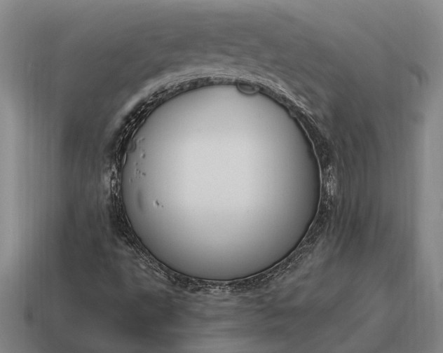 X0000115101495200911101534